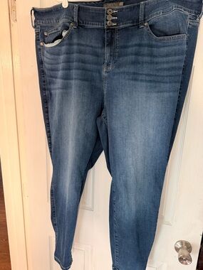 Torrid Size 26 Blue Skinny Jegging Jeans
